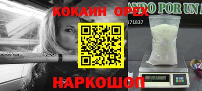 крисы Партизанск