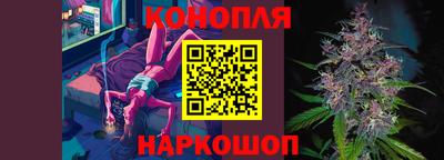 стафф Пенза