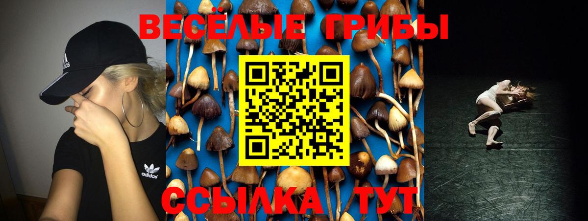 Псилоцибиновые грибы GOLDEN TEACHER Серпухов